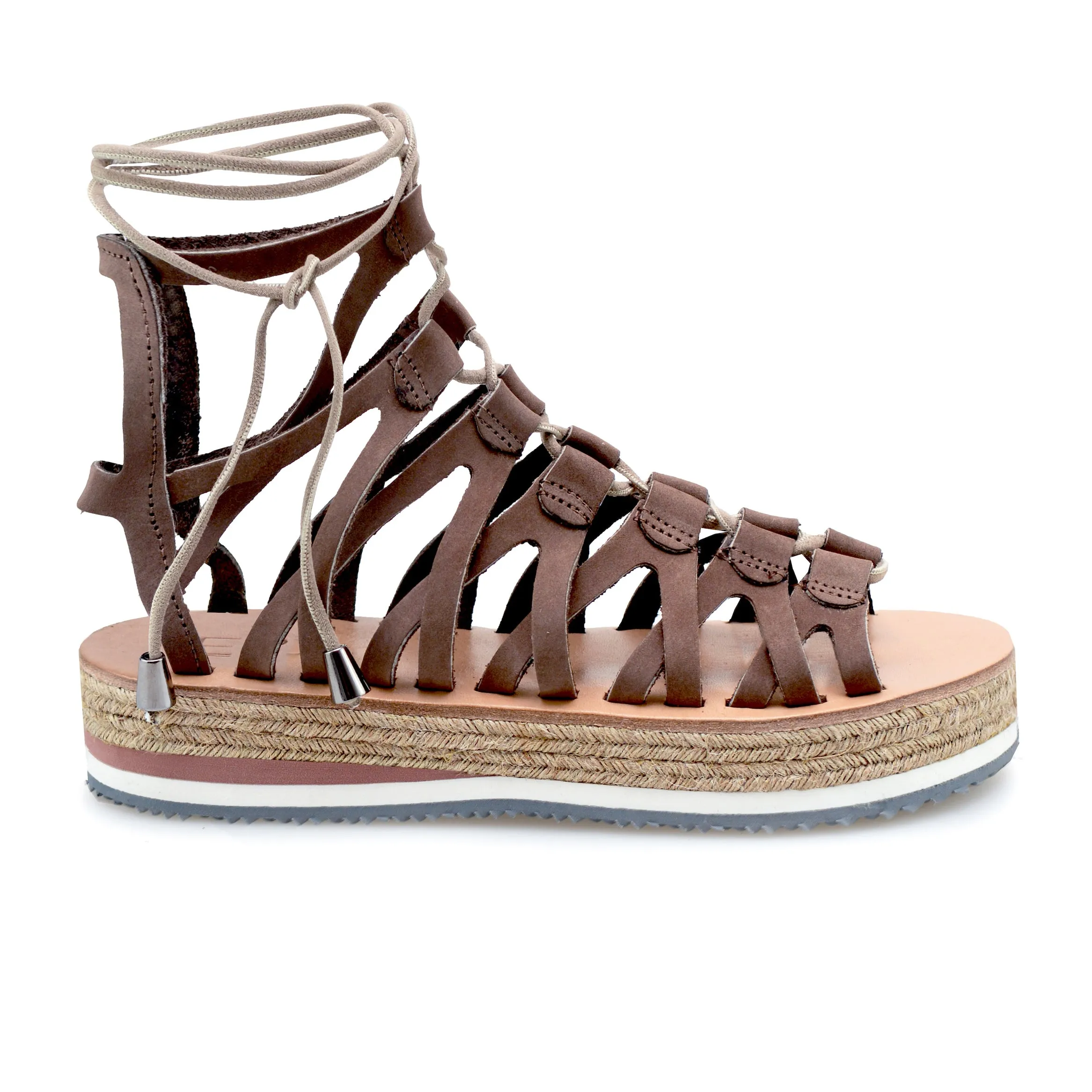 Paradisia | Gladiators